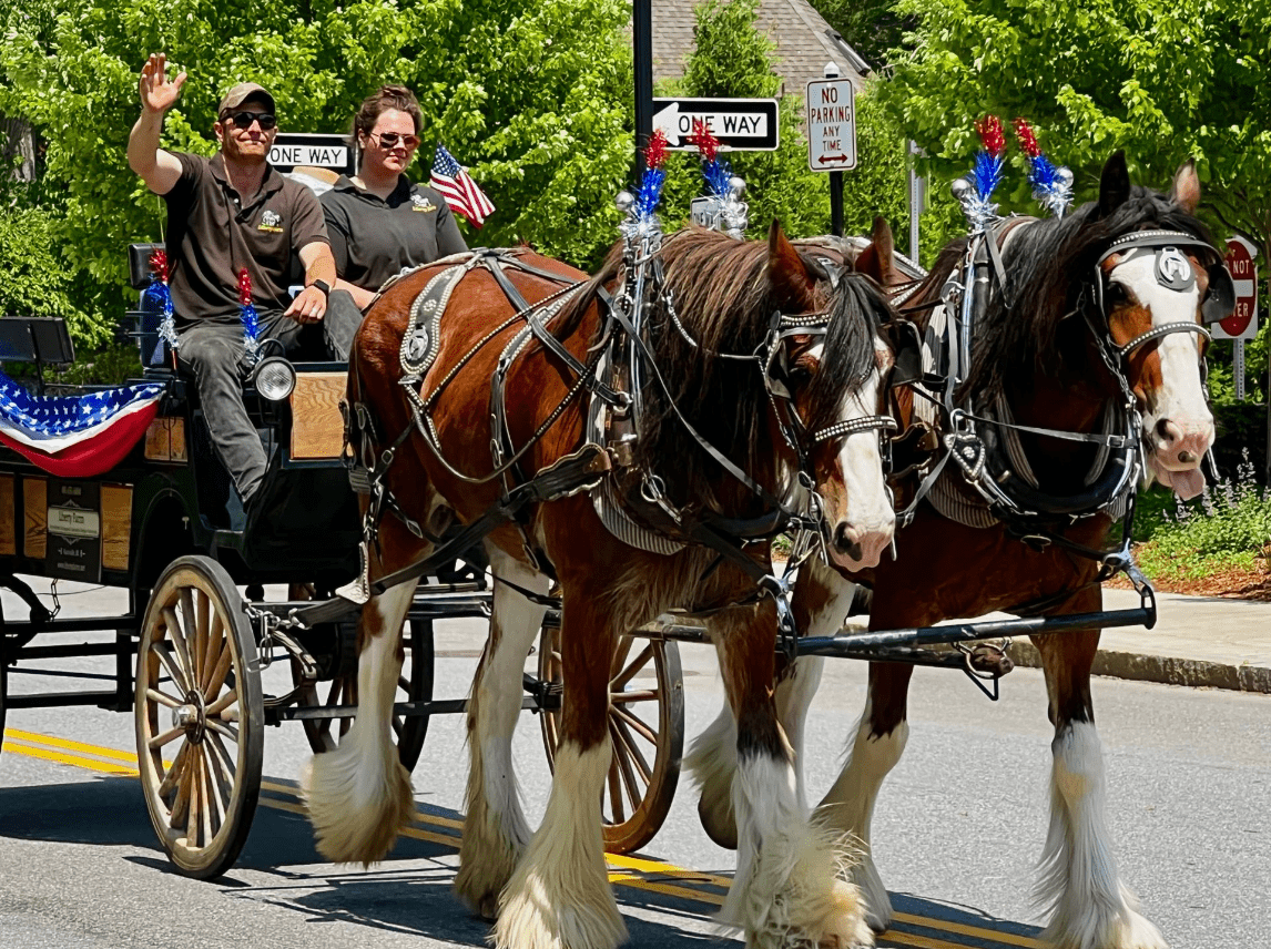 Wellesley Wonderful Weekend parade photo from 2022