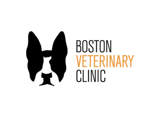 Boston Veterinary Clinic
